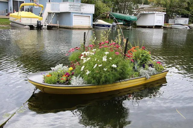 Flower garden in a boat on the water