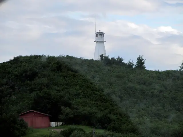 Cochin Lighthouse on the wooded hill