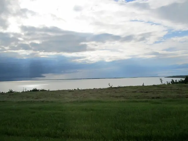 Jackfish Lake view south of Cochin